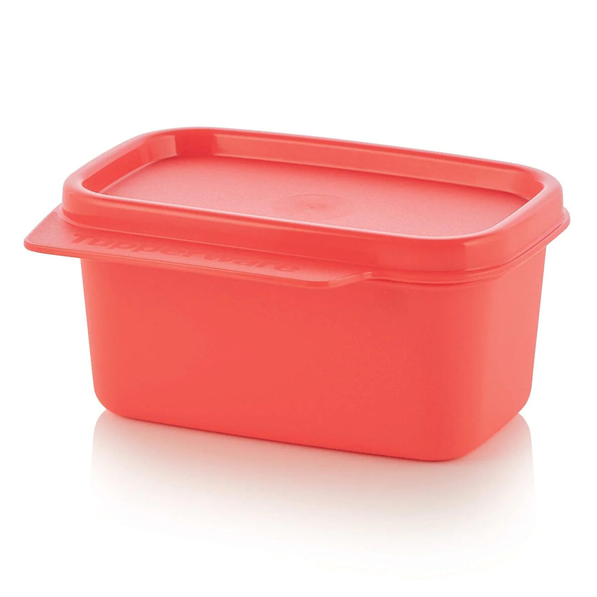 Basic Line 160 ml - Image 1