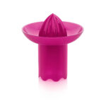 Citrus Juicer