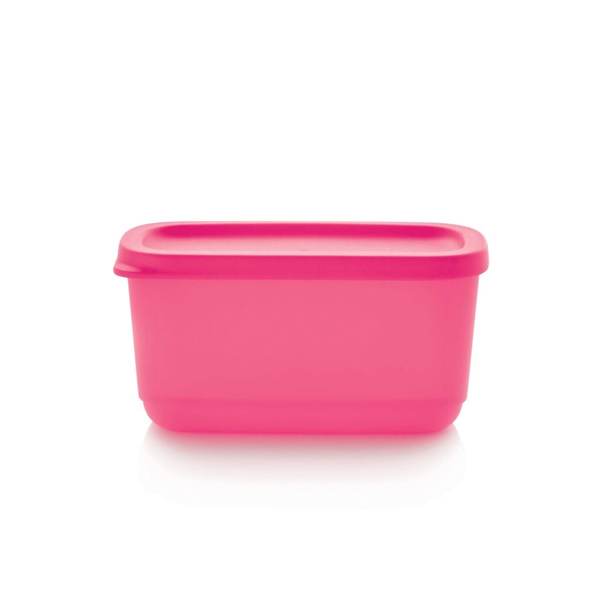 Mini Container 250 ml - Image 1