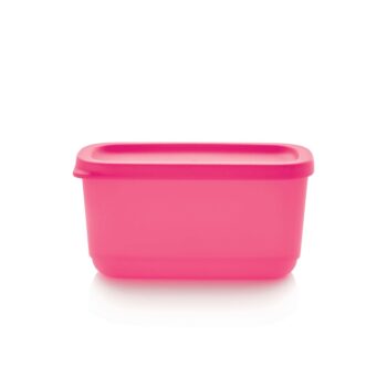 Mini Container 250 ml