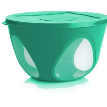 Outdoor Bowl 4.3L