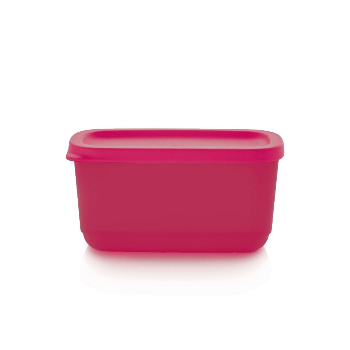 Mini Container 250 ml - Image 3