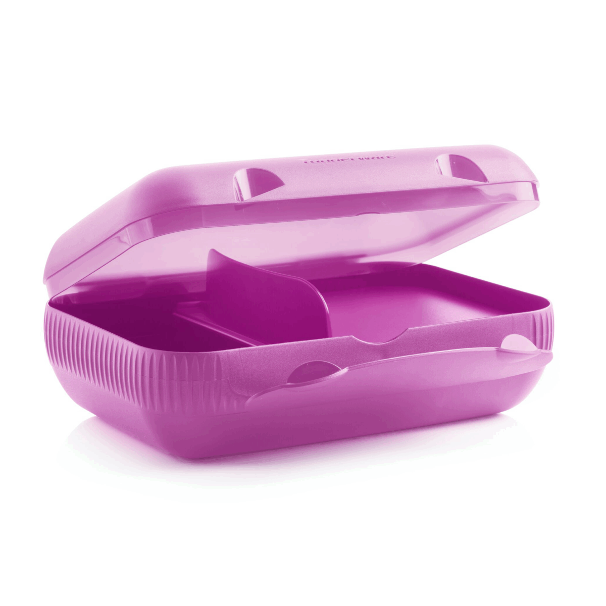 Eco+ At Lunch Box - Image 2