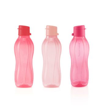 Eco Bottles 500 ml(3)