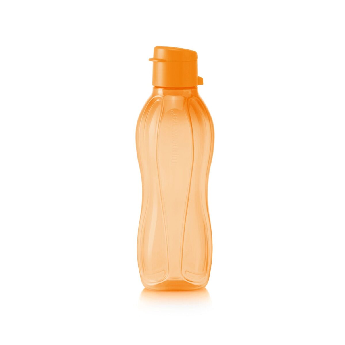Eco+ Bottle 500 ml - Image 1