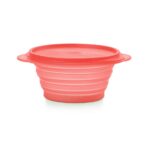 Mini Max Container 700 ml