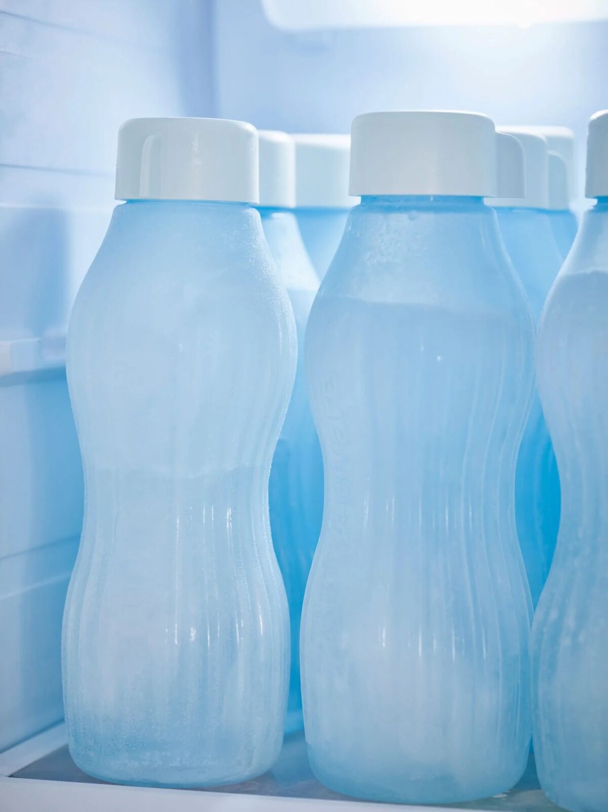 Freezer Bottles 880 ml (2) - Image 4