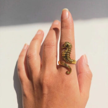 Stolen Ring